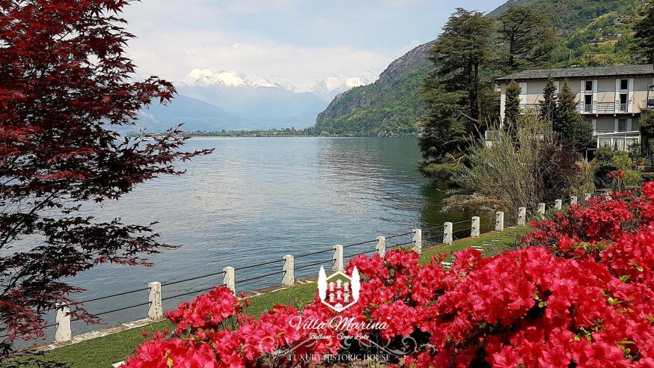 Villa Marina - Como Lake Беллано Екстер'єр фото